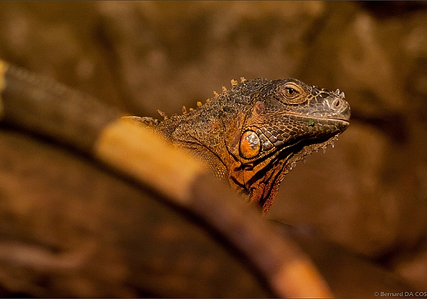 Zoo de la Barben 2011