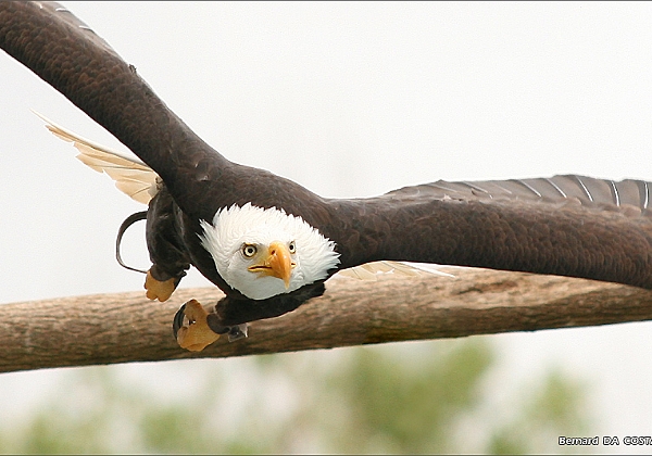 ZooParc Beauval