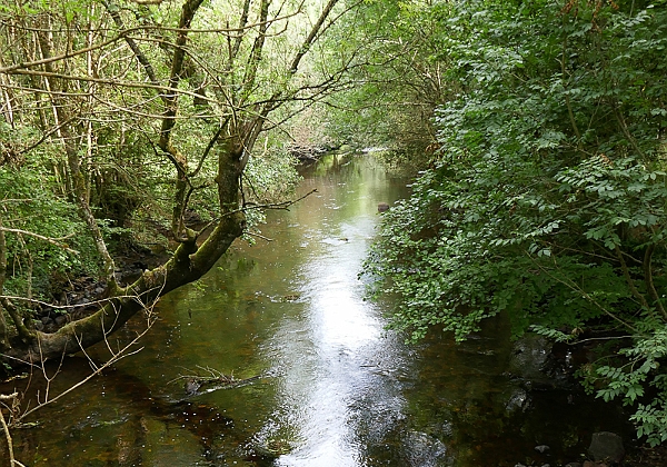 Belle Ile en Terre