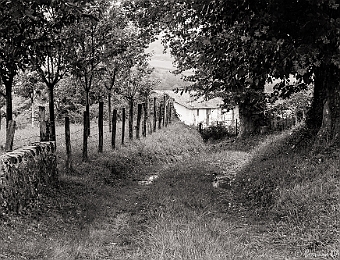 E7D_8489 MB - entre St Jean Pied de Port et Louhossa