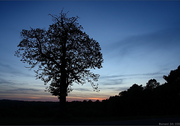 Perigord Noir