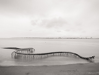 E7D_6799 MB Serpent d'océan est une sculpture monumentale en aluminium, longue au total de 130 m. Elle représente le squelette d'un immense serpent de mer imaginaire, dont...