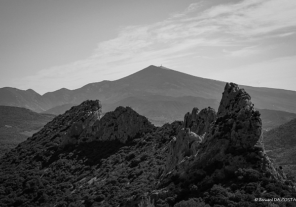 Dentelles de Montmirail