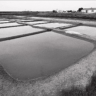 Mare salant - Ile de Re